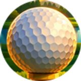 Find Golden Tee Players Near You | GT Buddies